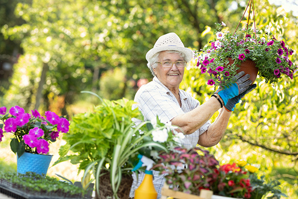 Social Prescribing Comes to You