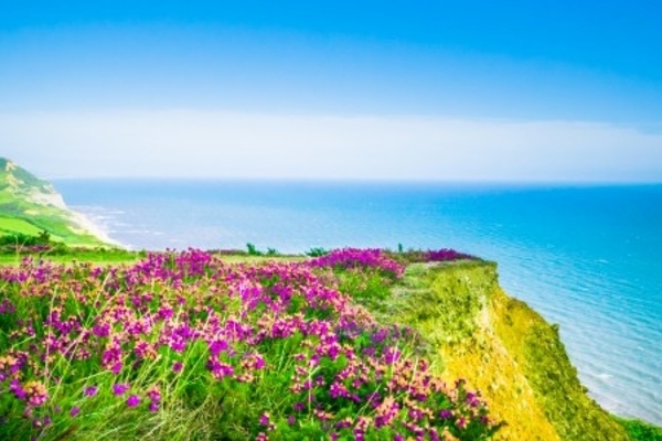 Jurassic Coast PCN among best in the country