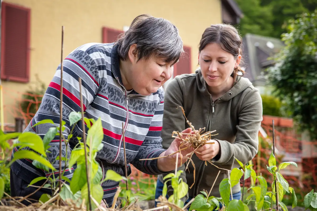 carer gardening