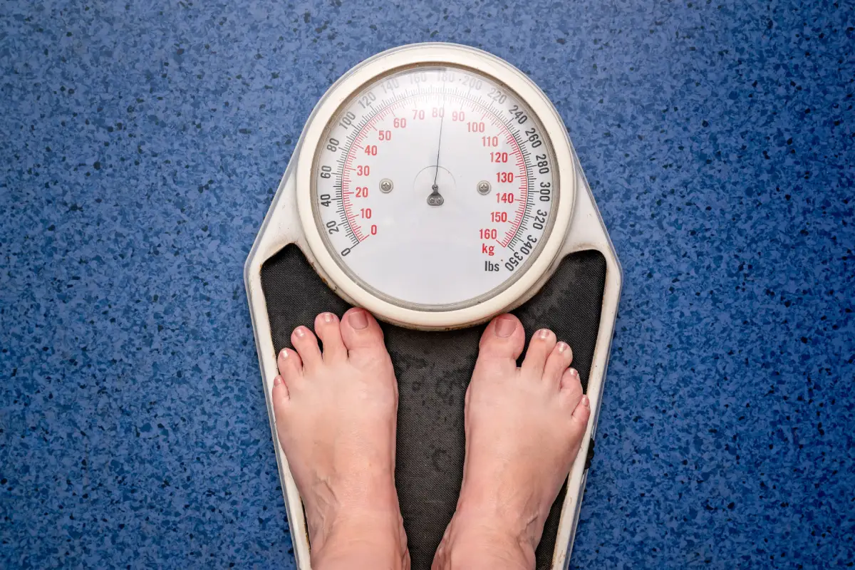 scales